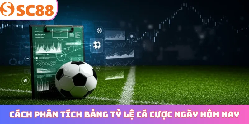 Cách phân tích bảng tỷ lệ cá cược ngày hôm nay