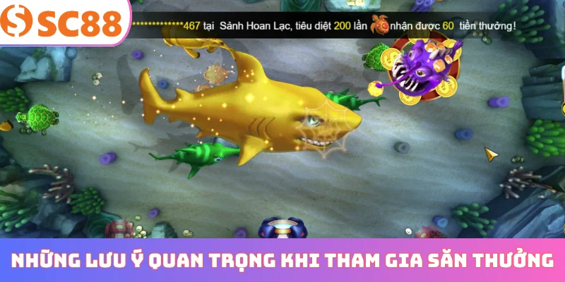 Những lưu ý quan trọng khi tham gia săn thưởng