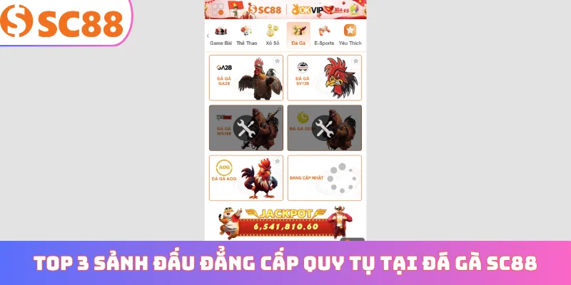 Top 3 sảnh đấu đẳng cấp quy tụ tại đá gà SC88